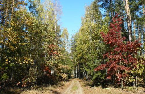 Tomaszówka - Domek na Kaszubach - Foto 41