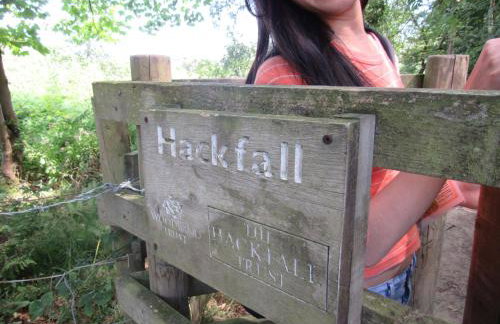 Morton House and The Stable Block Masham - Adjoining holiday cottages for singles, couples and large groups - Foto 51