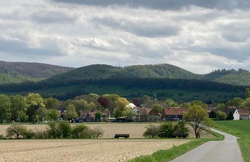 Ferienwohnungen bei der Purpurbuche - Foto 34