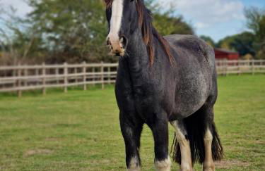 Whispering Pines - Foto 33