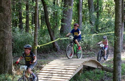 3 A-Frame Cabins w Hot Tubs Near Wine Trail - Foto 47