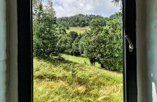 Wiejska Sowa Siedlisko - Foto 27