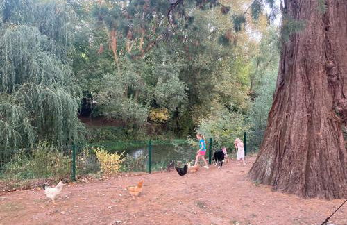 Longère des Templiers near Troyes - Foto 7