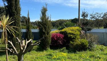 Meirinha House - Foto 3