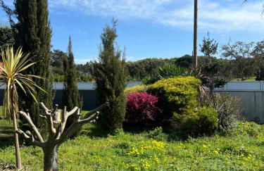 Meirinha House - Foto 3