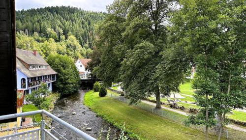 Dream holiday apartment Kinzigblick - Foto 3, Other