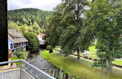 Dream holiday apartment Kinzigblick - Foto 3