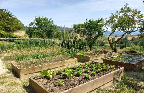 Casa Albaitar - con Piscina y Sala de juegos - Foto 9