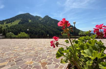 Presolana House - Photo 32