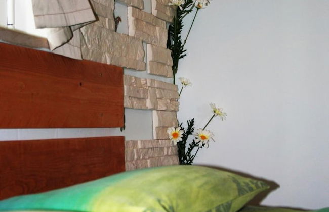 Oca Giuliva - Foto 5