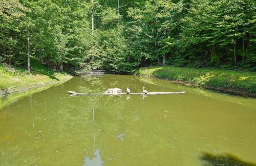 Cub's Cove by Jackson Mountain Rentals - Photo 78