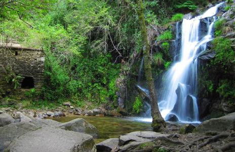 Grandma´s House - Foto 29