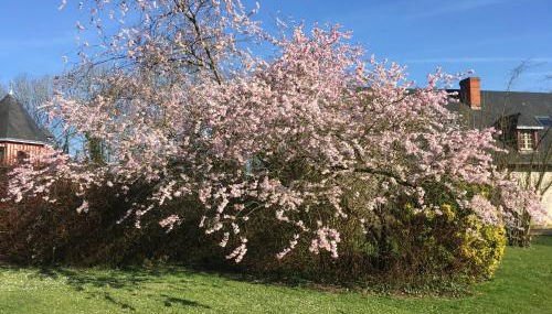le colombier de Royaumont - Photo 2