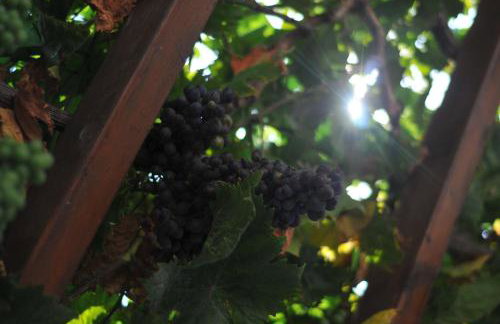 Nikoleta's Studios - Photo 29