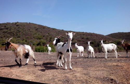 Vacanza in Ogliastra - Foto 44