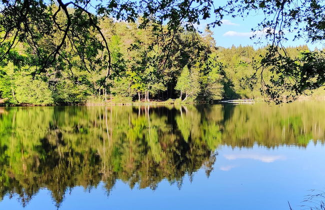 Wellness Apartment Keutschach Lakes Valley - Photo 21