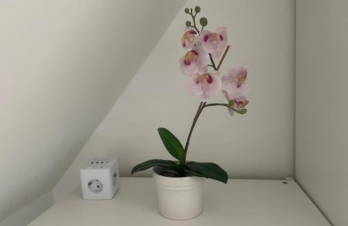 Ruhiges Gästehaus - 120qm - Garten - 1A Lage - Foto 2