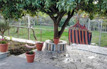 Lambrinis house - Foto 19