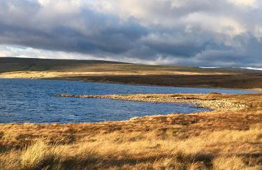 Weardale Cottage - Photo 44