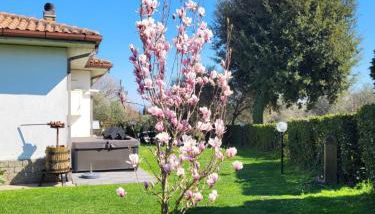 Fuori dal Borgo.... - Foto 3