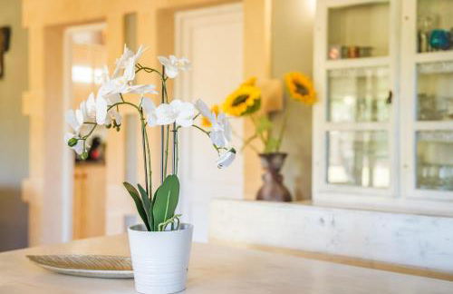 Ideal Property Mallorca - Can Caragol Font de Sa Cala - Photo 20