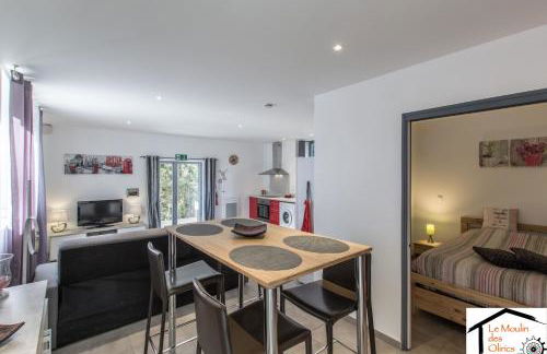 Le Moulin des Olirics - Photo 9