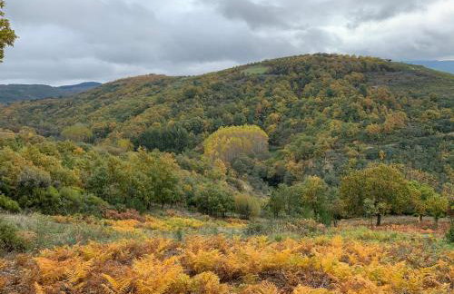 Casa do Souto - Nature & Experiences - Turismo Rural - Foto 66