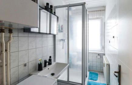 Ferienwohnung mit Tageslichtbad in ländlicher Lage nahe Halle (Saale) - Foto 3