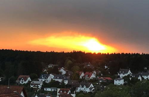 Apartment mit Wintergarten und Terrasse in ruhiger Lage im schönen Taunus - Foto 40