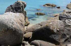 Le Sanderling - Foto 23