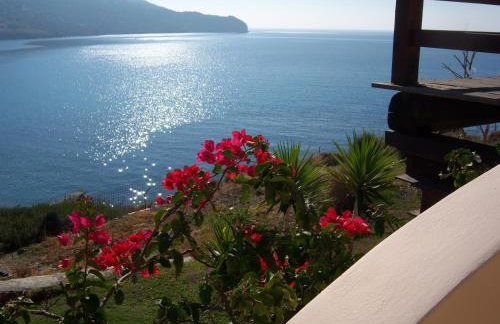 LikoremaView - Photo 23