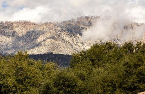 Vineyard estate with pool and amazing views - Photo 64