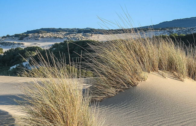 Tour en 4x4 por el golfo de Orosei - Photo 1