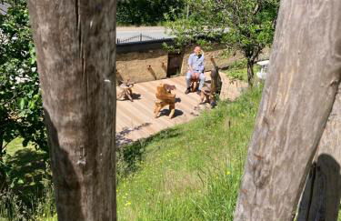 Luxe, landelijke vakantiewoning der alte Birnenbaum Duitsland-Sankt Wendel - Foto 48