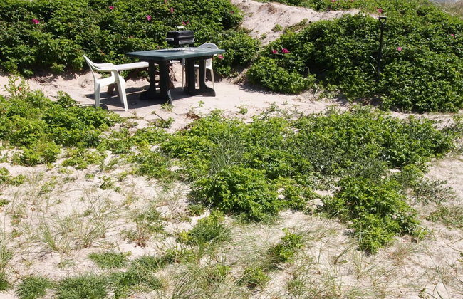 "Analia" - from the sea - Foto 14