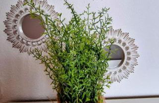 Torrevieja Seaside Escape - Foto 14