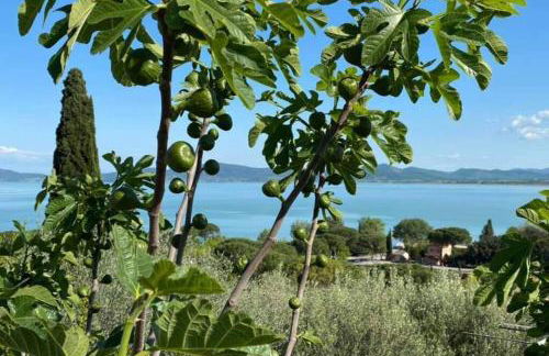 Bellavista la tua romantica vacanza sul Trasimeno - Foto 67
