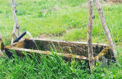 Landhaus Eibelesee - Foto 48