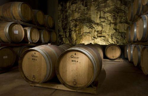 Castello di Fonterutoli Wine Resort - Foto 26