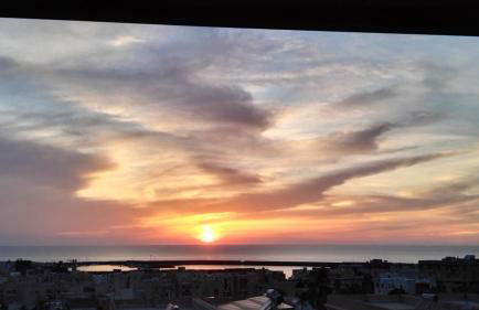 Appartamento Yucca - Foto 6