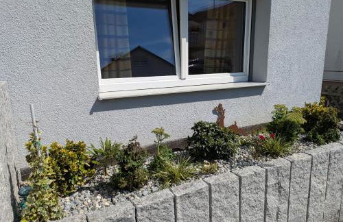 Erlachoase - Photo 59