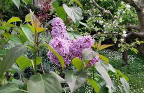 Casa di Giulia (Bambini gratis fino a 6 anni) - Foto 2