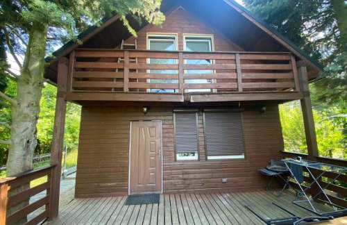 Domek letniskowy w Chojnie - Foto 14