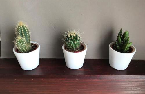 Le Giare House - Photo 44