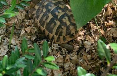Apartments Paco & Bony - Photo 16