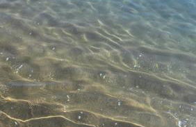 Mivia Holiday Home - Foto 8