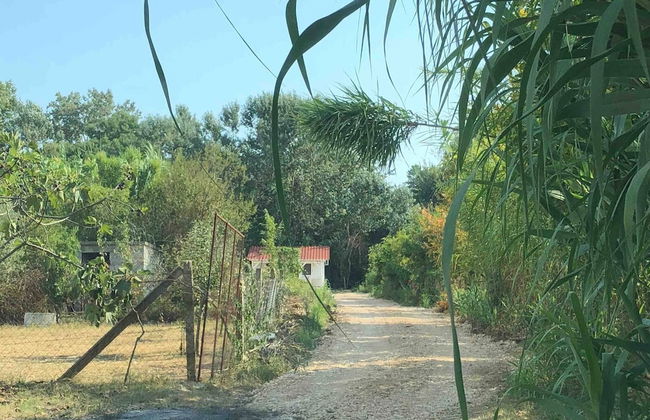 Rajana Bungalow - Ulcinj - Foto 20