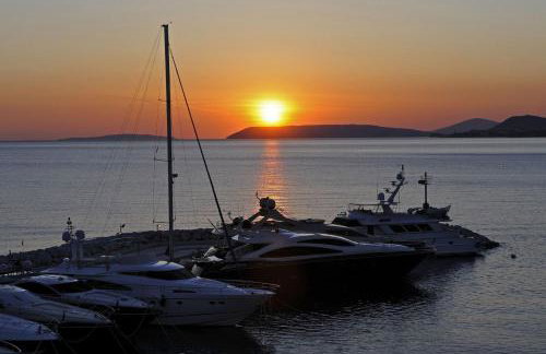 Olive Tree Apartments - Photo 38