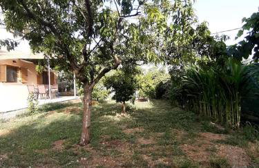 Σπίτι στον κήπο - Photo 16