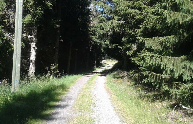 Charming Farmhouse in Cros-de-georand With Swimming Pool - Photo 64